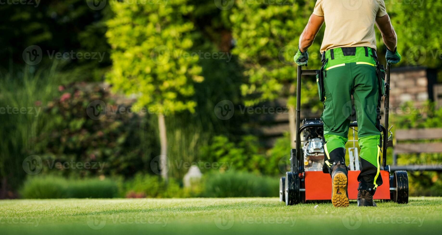 Professional Gardener Mowing the Lawn Back View photo