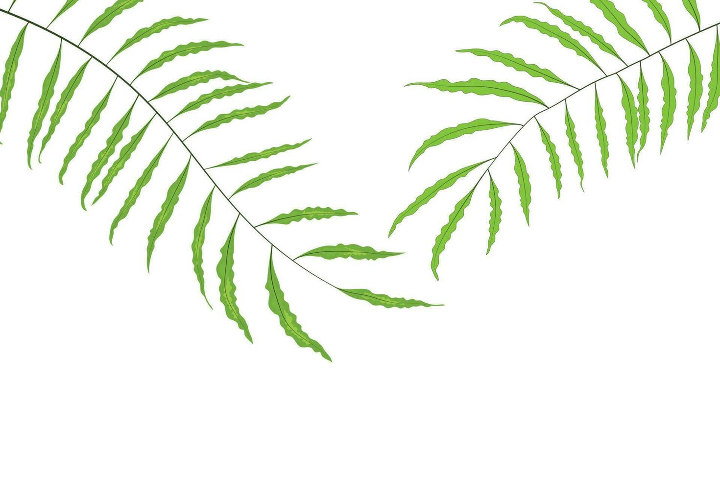 fern leaf tropical forest. green leaves background vector