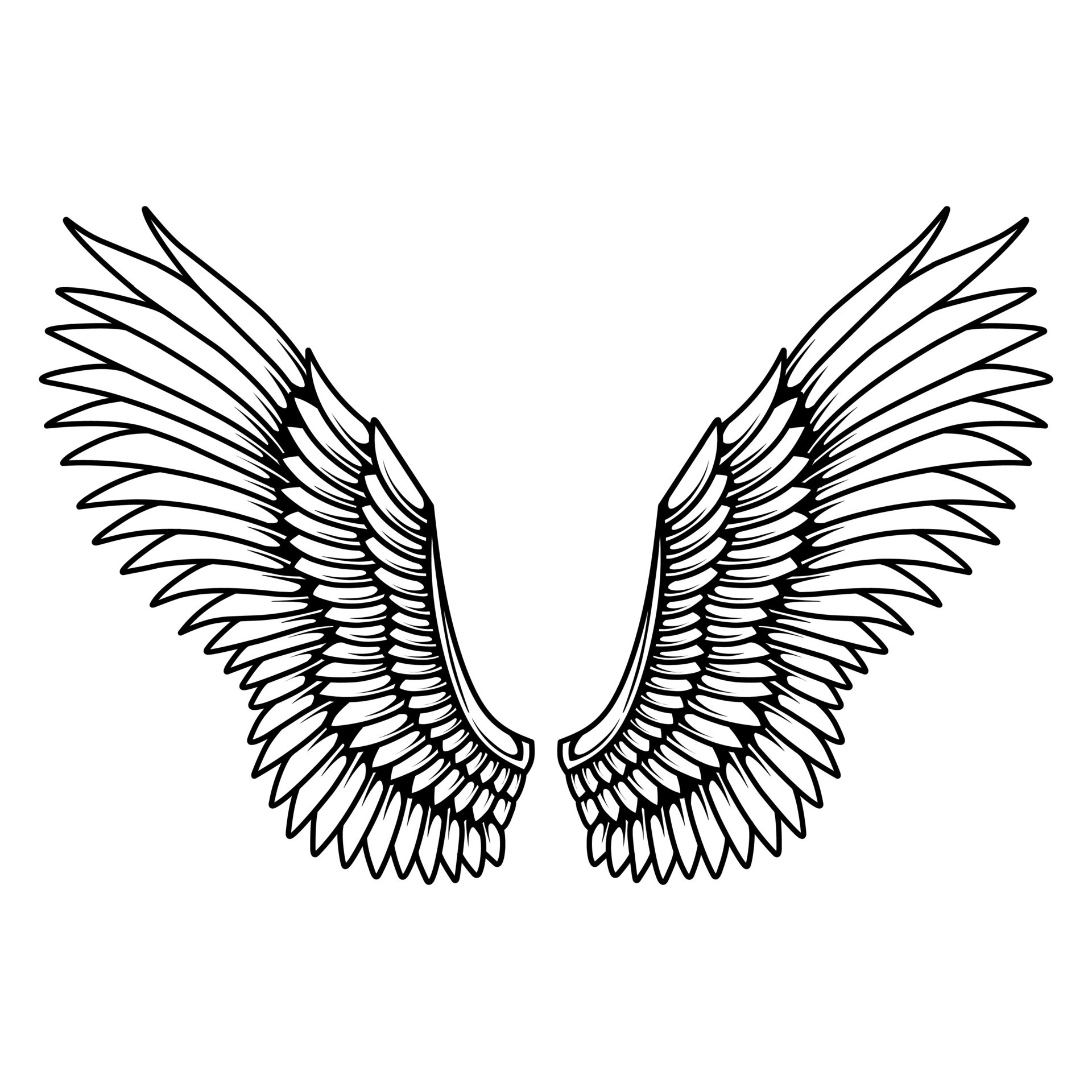 Home Wing Tattoo Designs Design Tattoos Angel Wings  Angel Wings Drawings   Free Transparent PNG Download  PNGkey