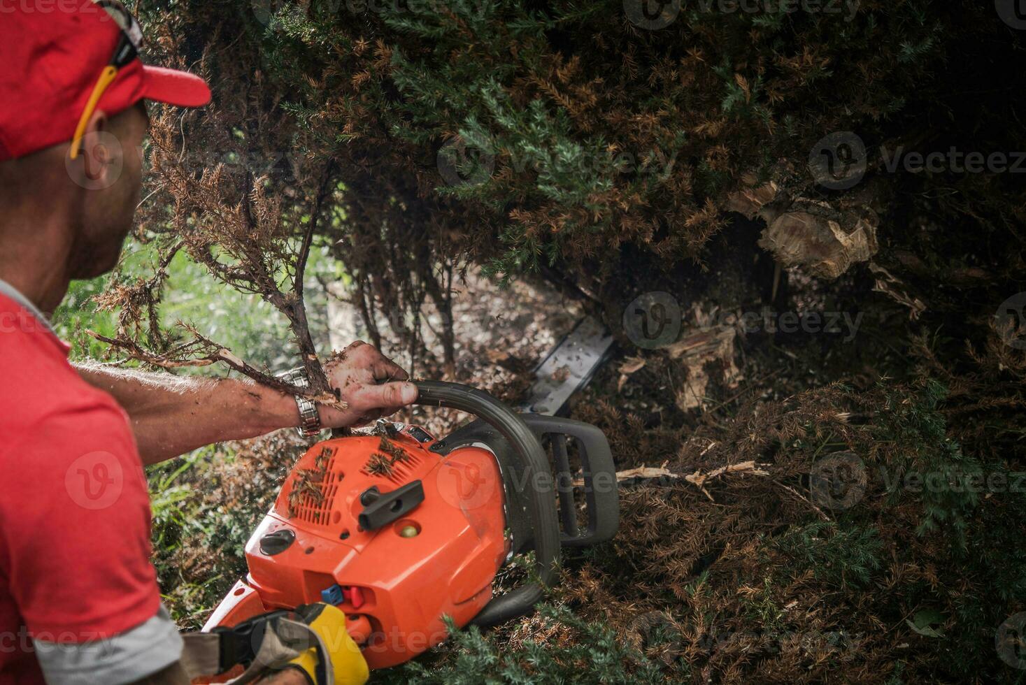 caucásico hombres con motosierra corte fuera salvaje arbustos foto