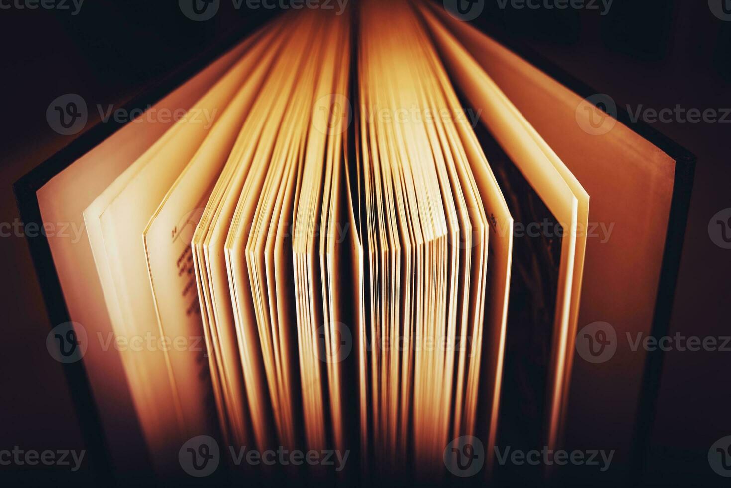 Open Book Pages photo