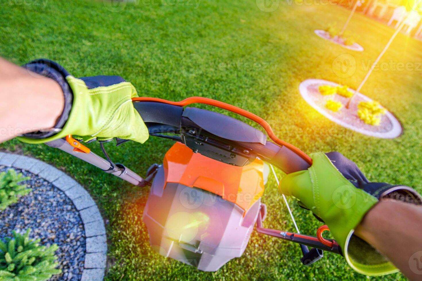 Backyard Grass Mowing photo