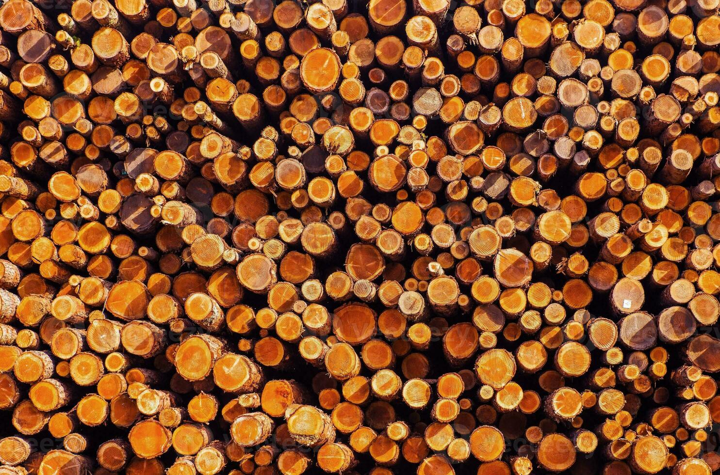 Pile of Lumber photo