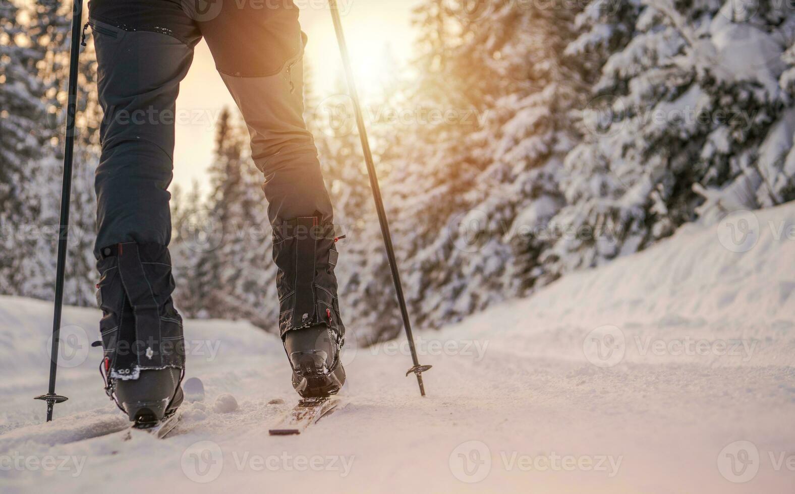 Cross Country Skiing photo