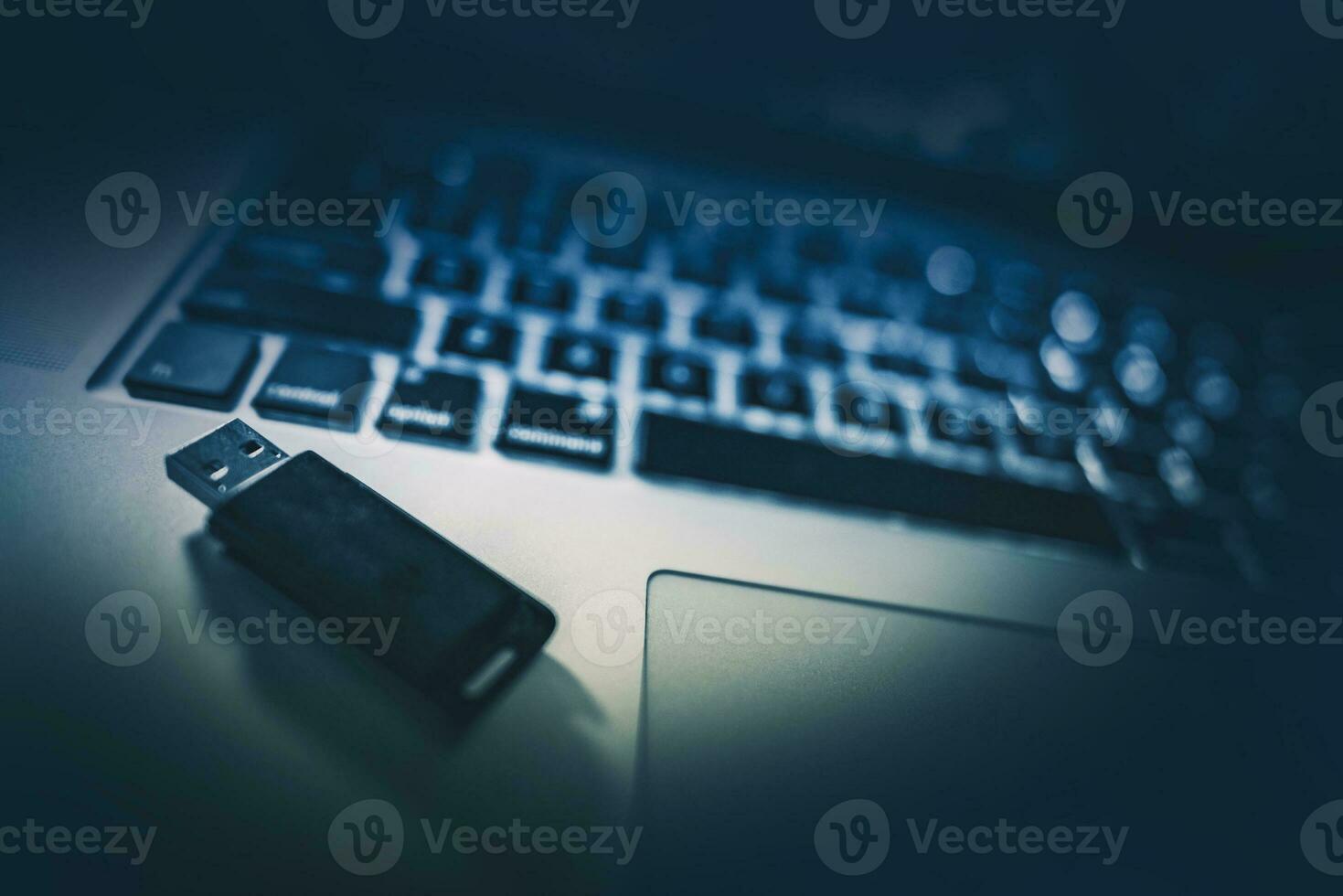 Pen Drive Memory Stick photo