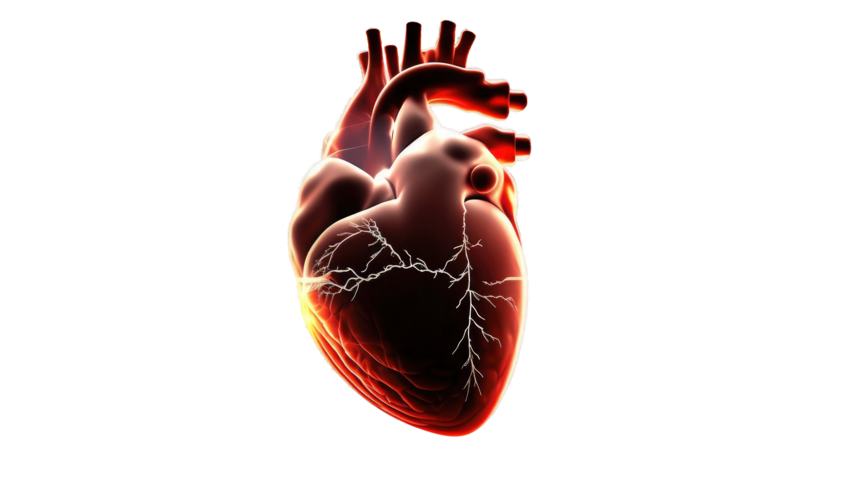 Human heart with cardiogram for medical heart health care background, png