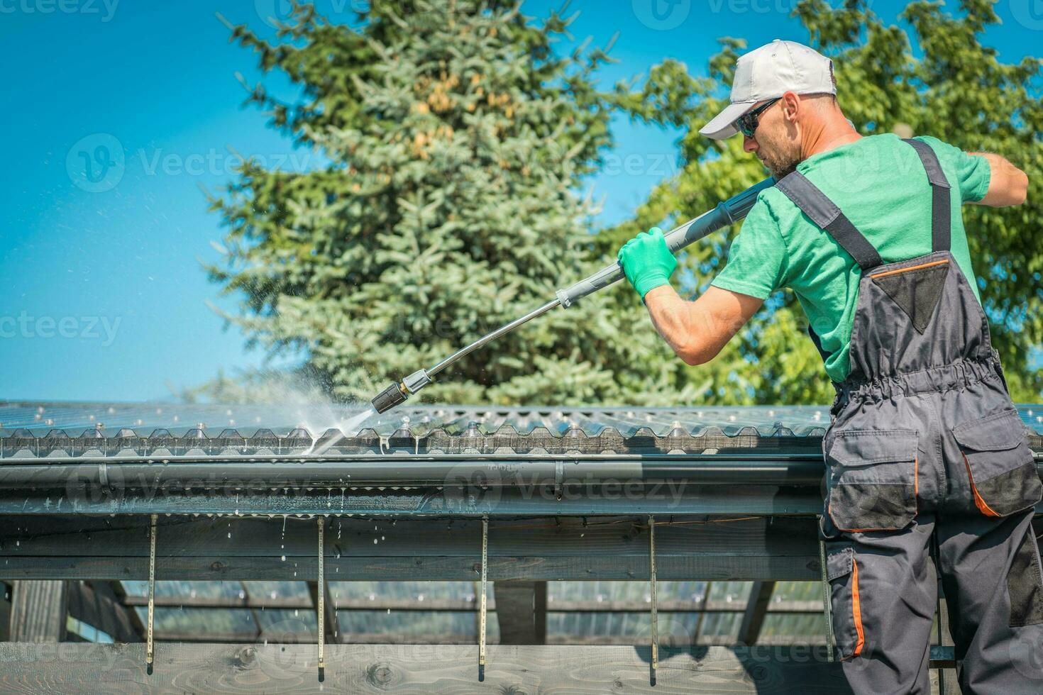 Roof and Gutters Cleaning photo