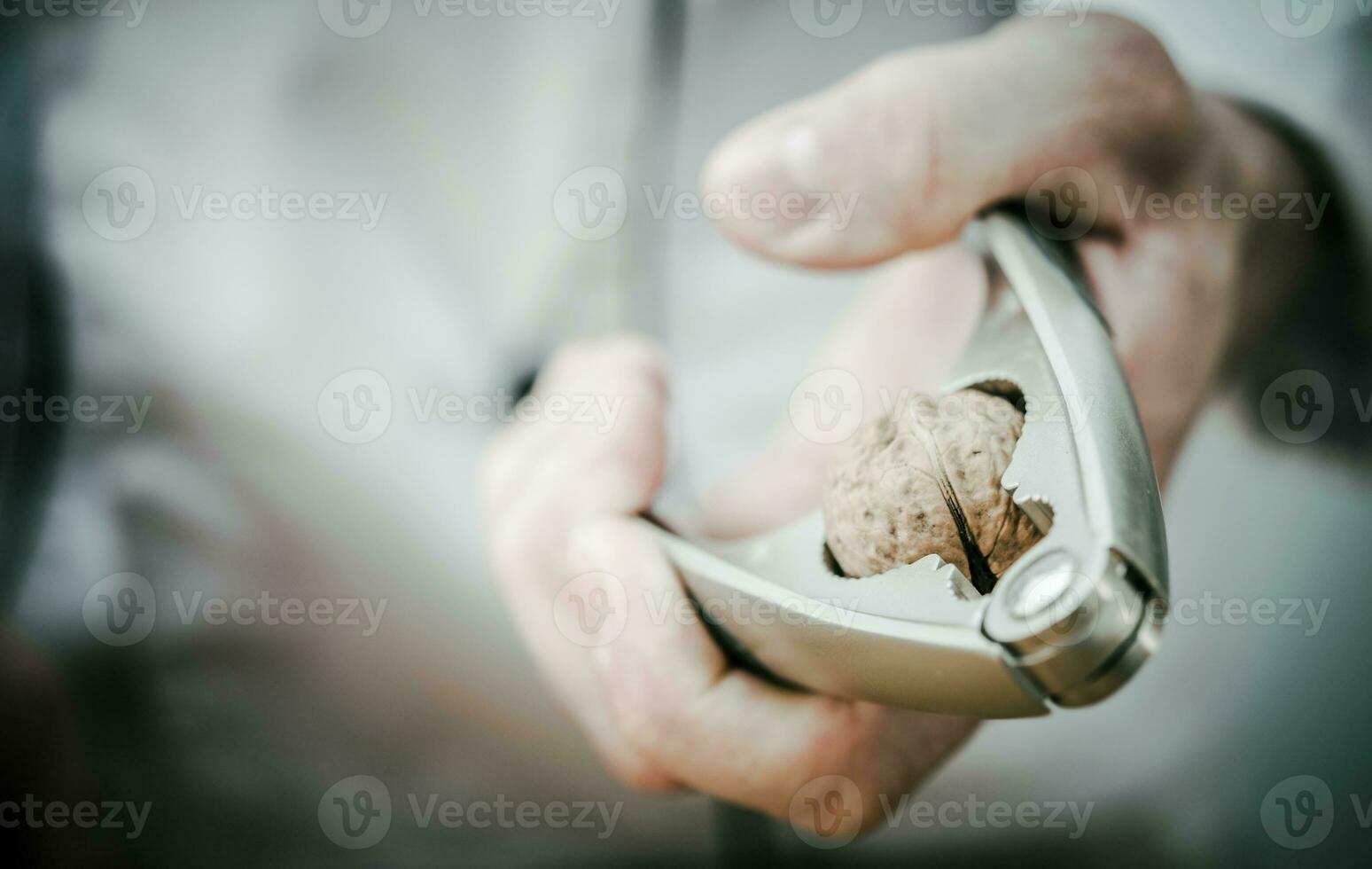 Nut Cracker in Chef Hand photo