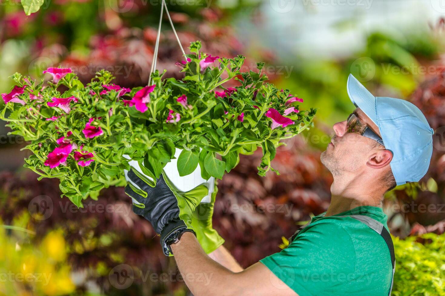 Gardener and His Greenhouse photo