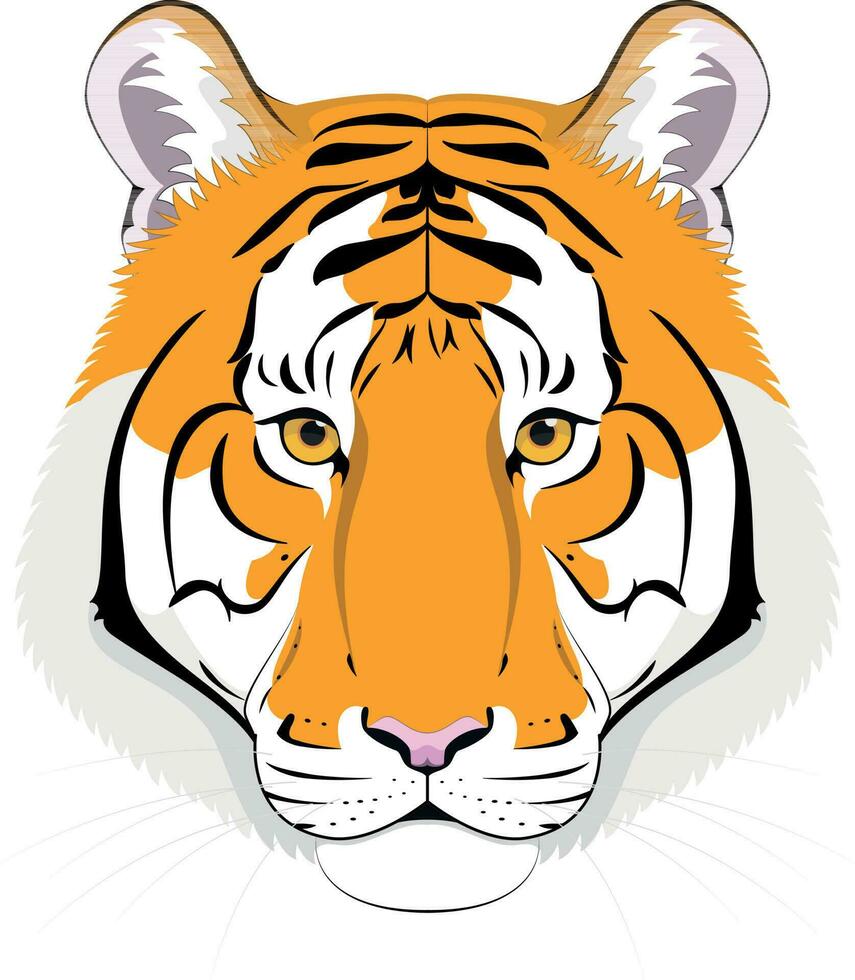 Tiger head in cartoon style. Vector illustration