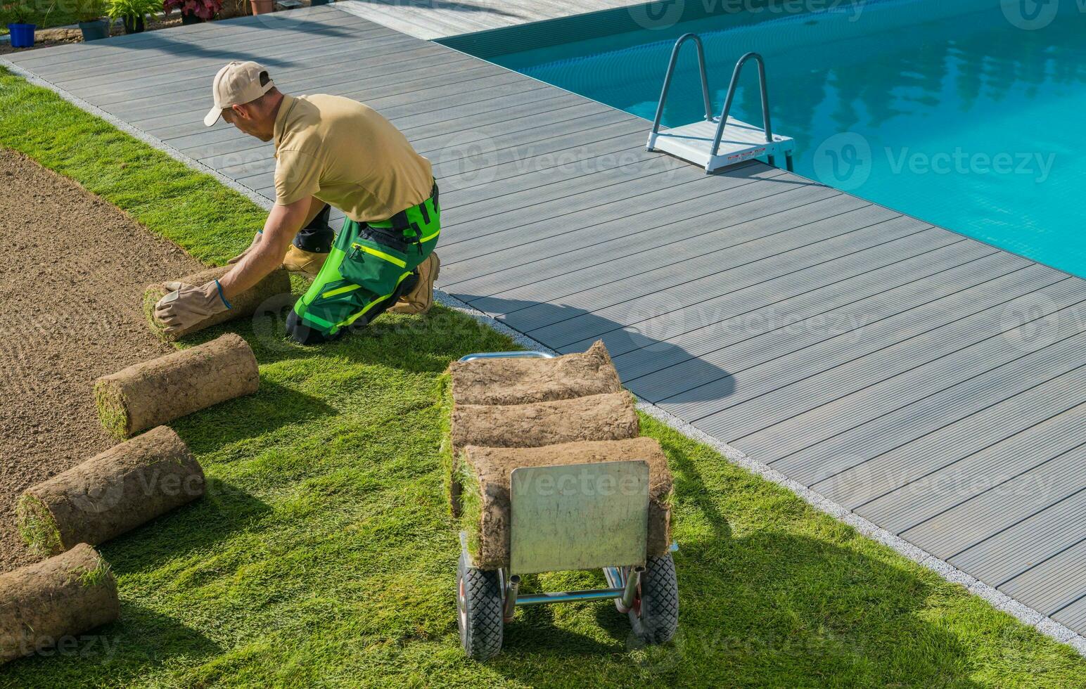 Garden Worker Installing New Natural Grass Turfs Around a Swimming Pool photo