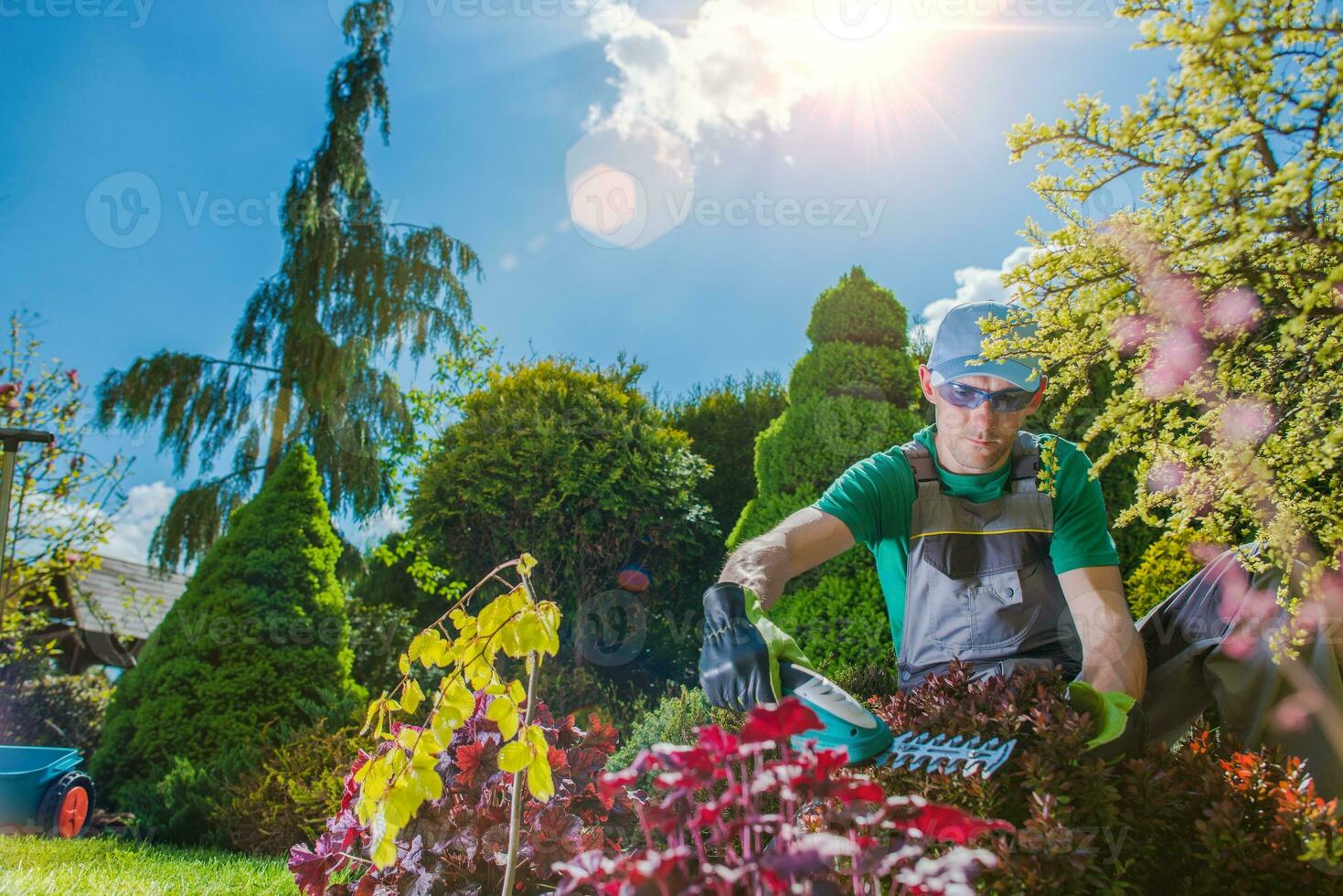 Professional Gardener at Work photo