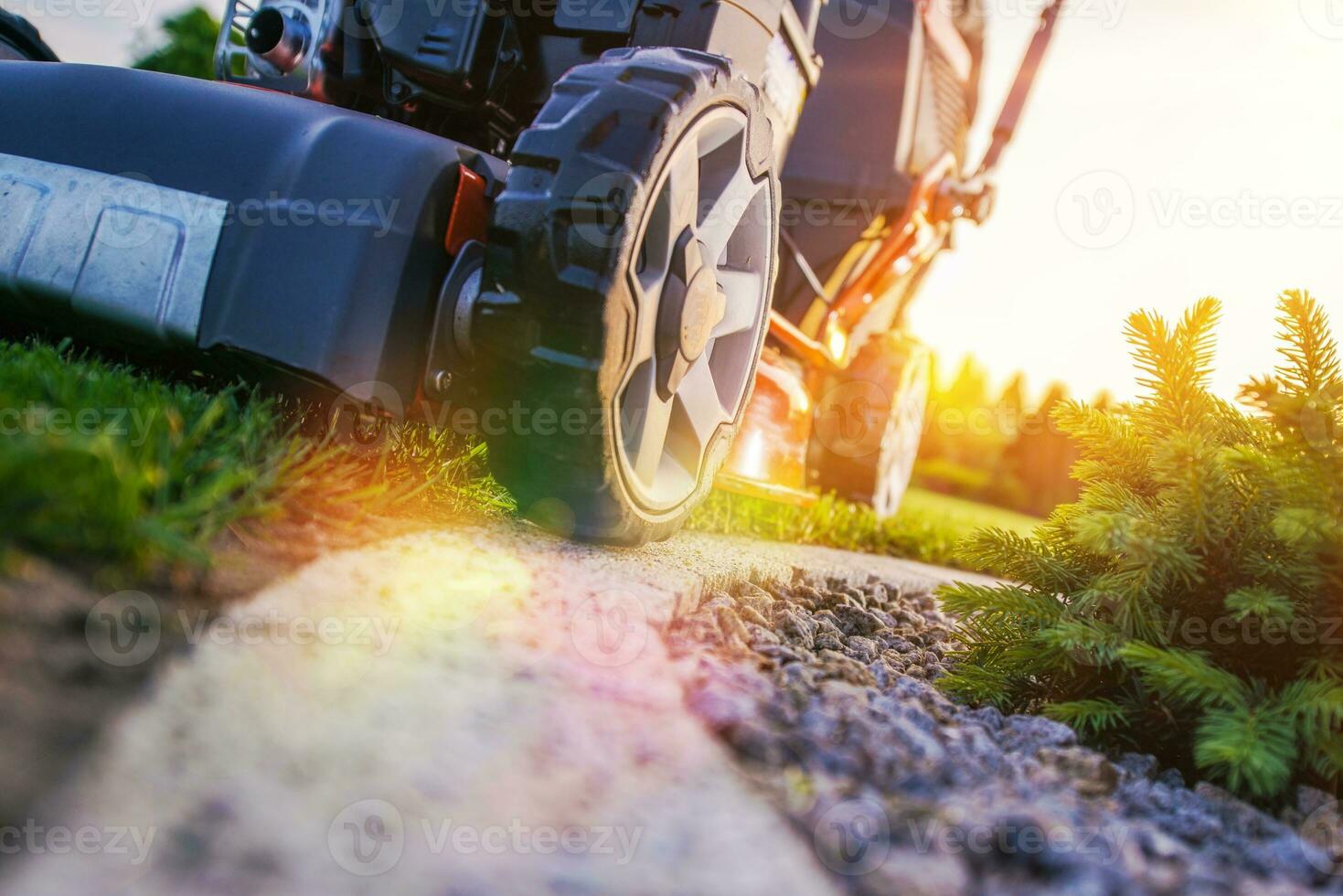 Lawn Mowing Closeup photo