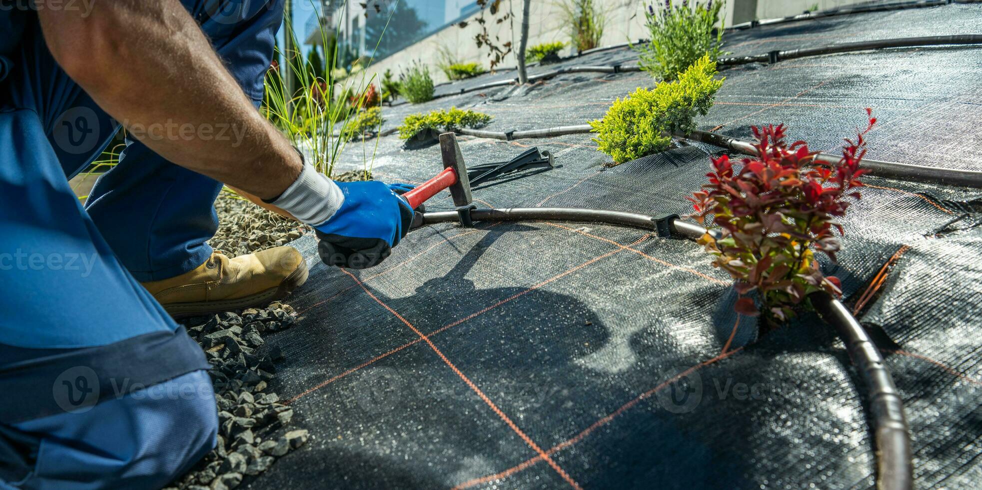 Garden Watering Technologies Specialist Installing Drip Irrigation