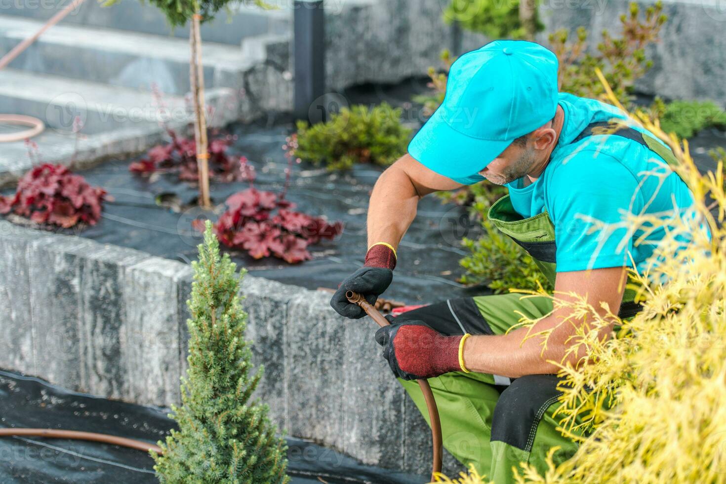 Professional Gardener Installing Garden Watering System photo