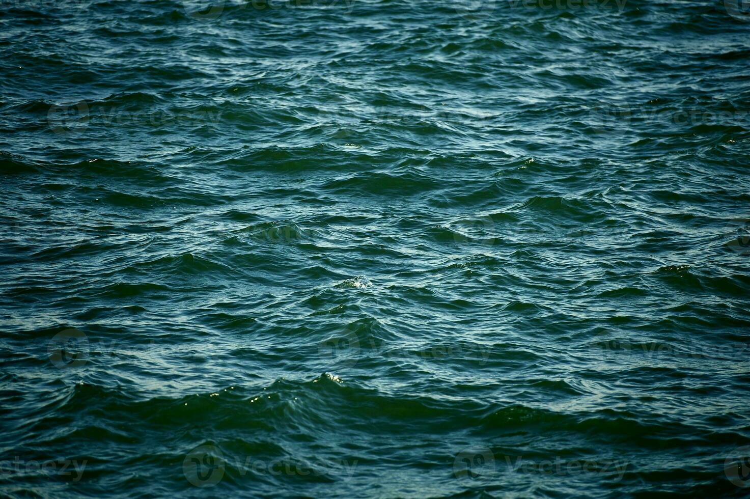 Lake Waters Close-up photo