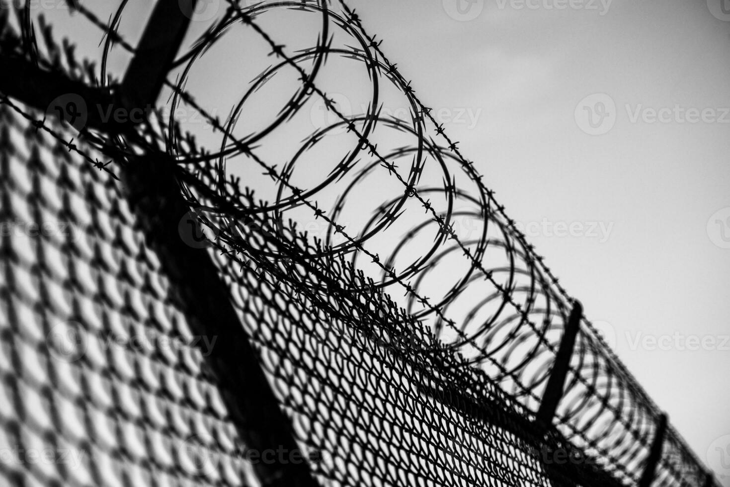 Prison Fence Close-up photo