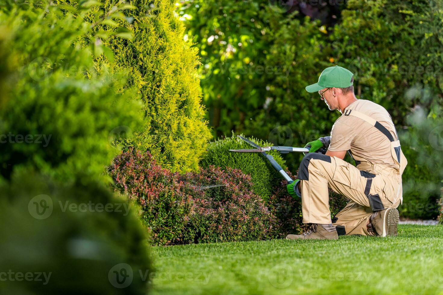 Garden Shrubs Maintenance photo