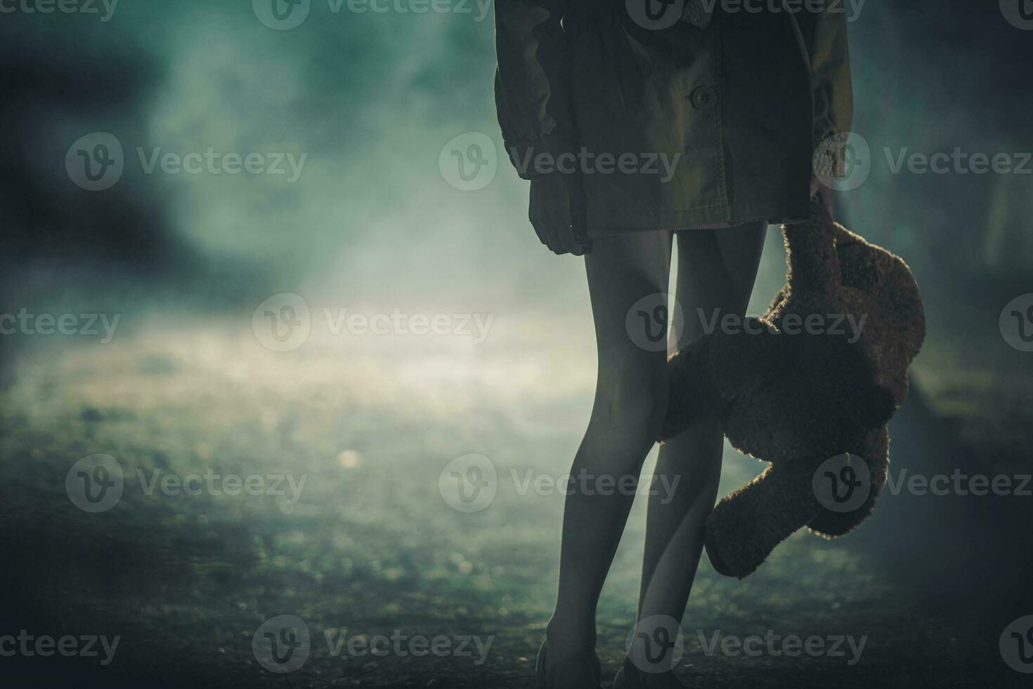 Girl with Teddy Bear Staying in Dark Foggy Forest Children Abuse Crime Concept photo