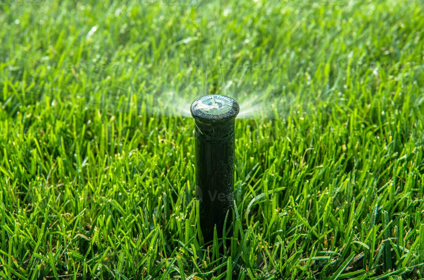 Automatic Pop Up Lawn Sprinkler Close Up photo