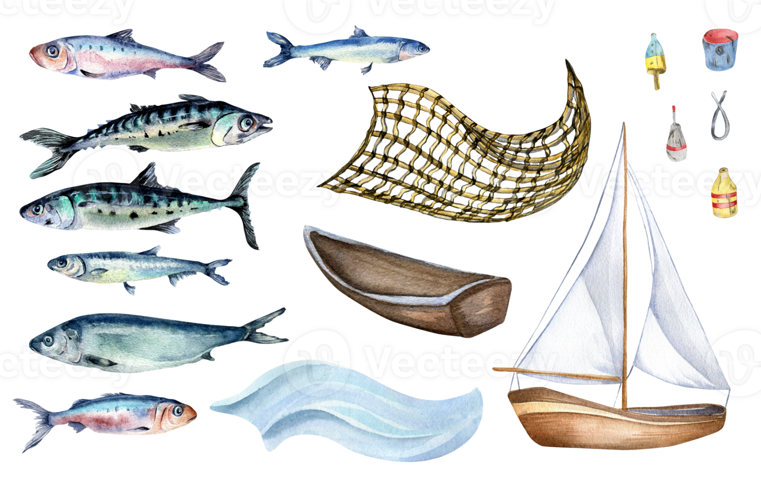 Set of various fresh sea fish watercolor illustration. Fish net and mackerel, herring, anchovy, sardine hand drawn. Design element for cookbook, signboard, menu, market, packaging. png