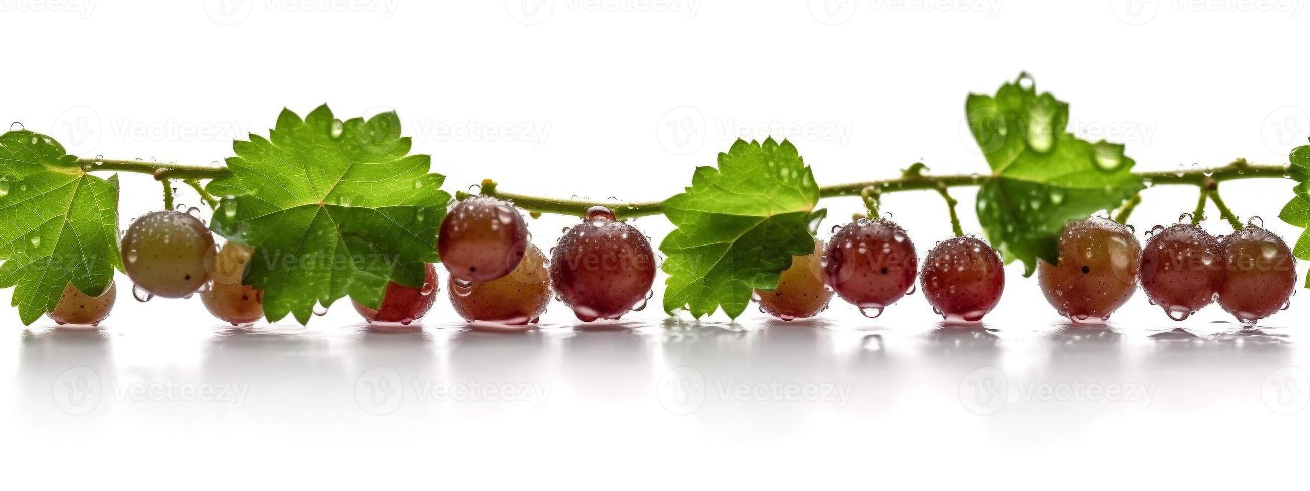 sin costura Enlosables fila de Fresco uvas en el vino en un blanco antecedentes - generativo ai. sin problemas ampliable en ambos termina a tu deseado longitud. foto