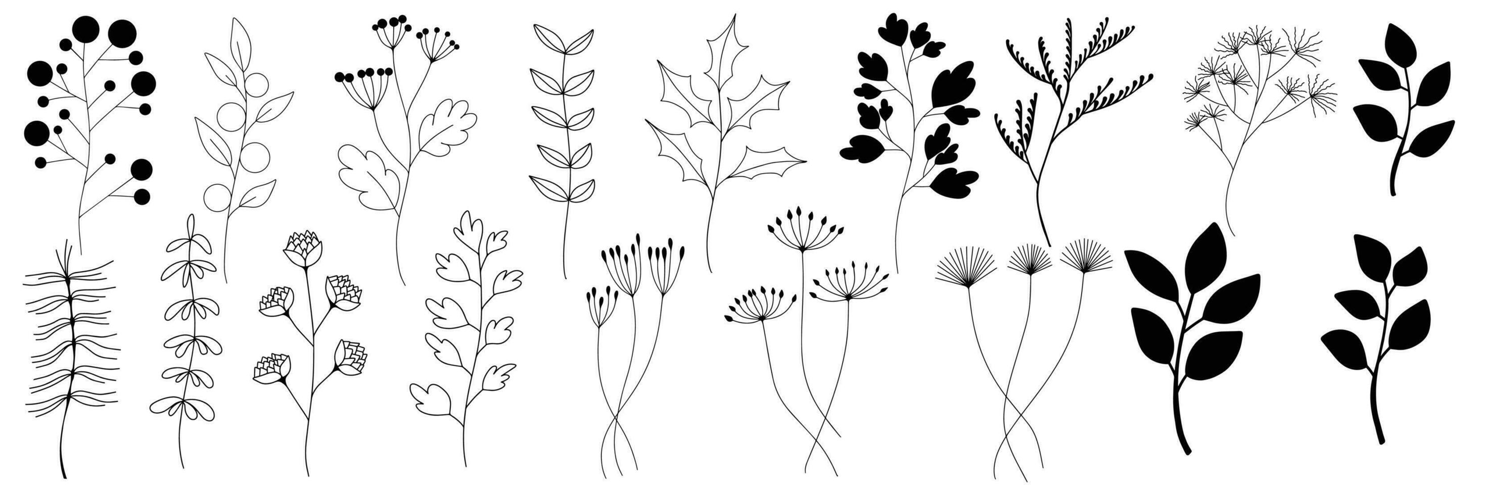 Tiny plantsand flowers, set of cute linear hand drawn botanical illustrations vector