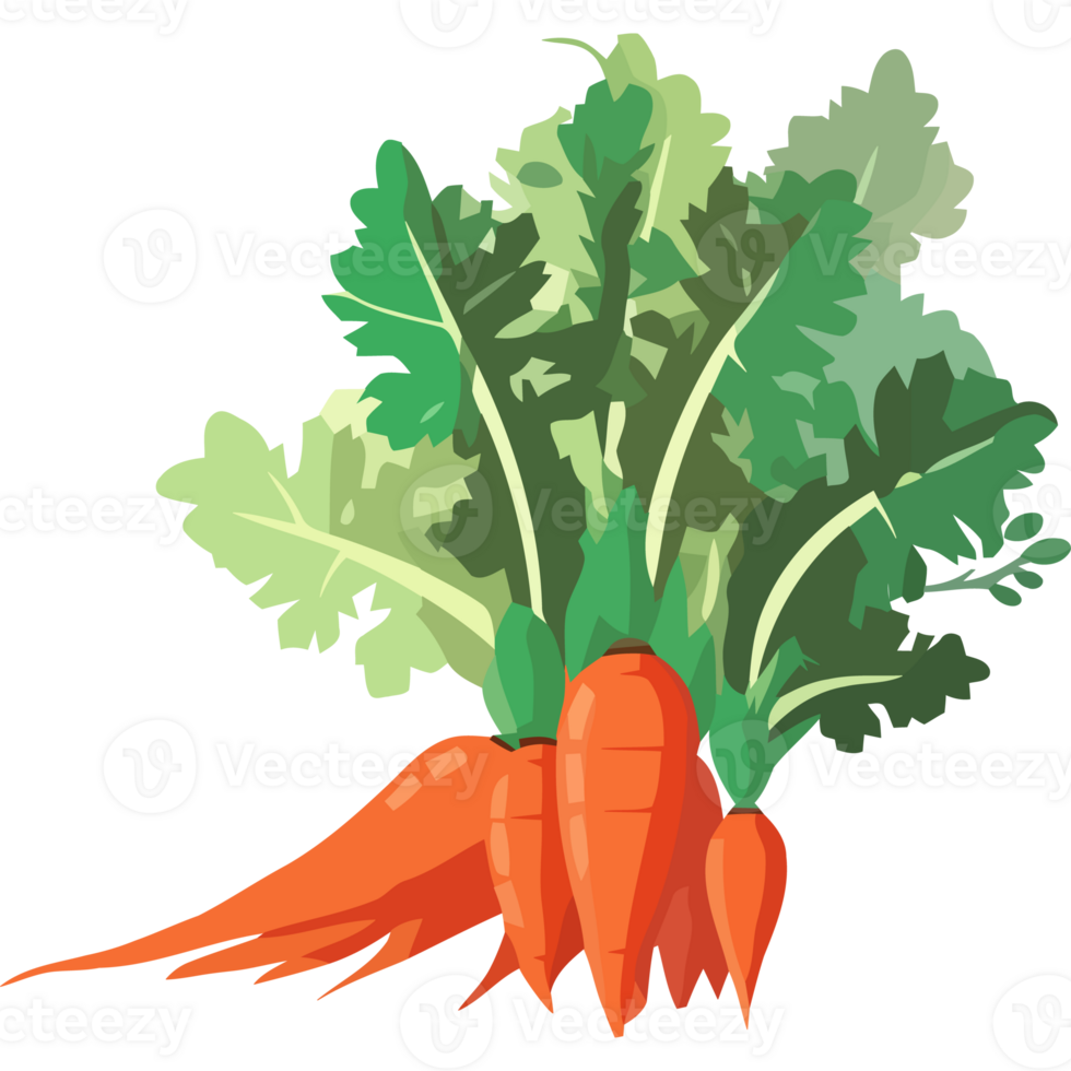 gezond aan het eten vers biologisch wortels icoon geïsoleerd png