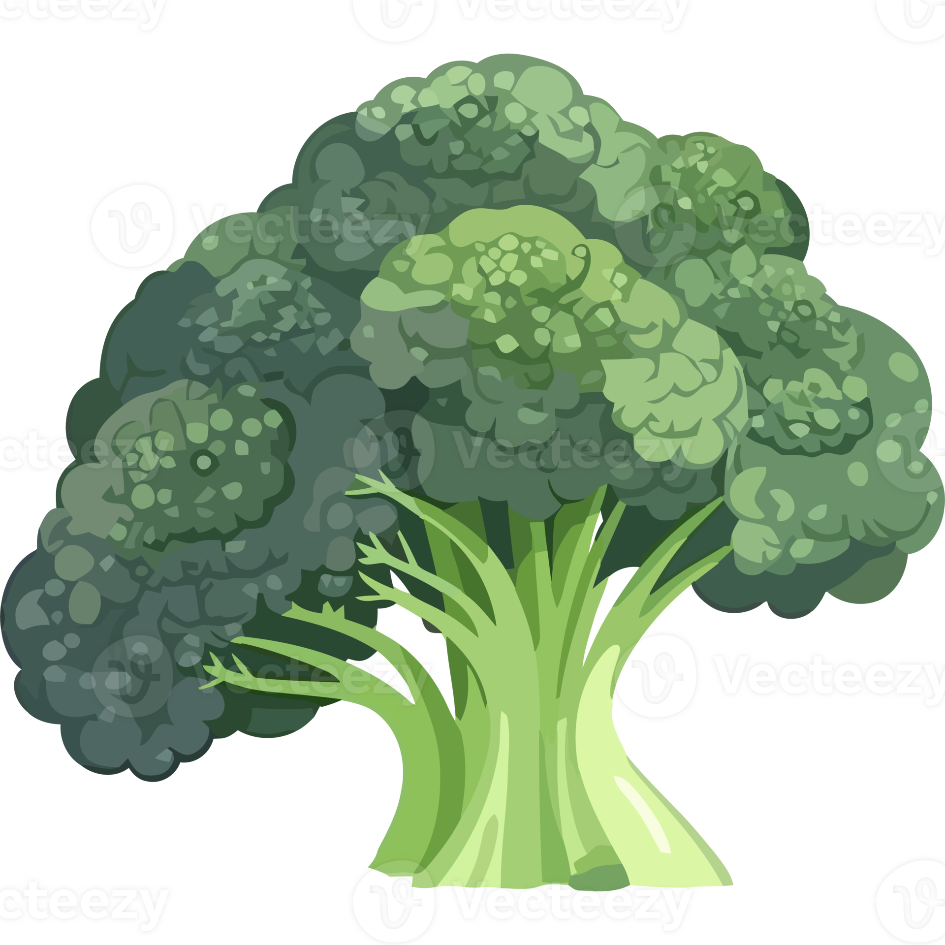 Green broccoli symbolize healthy dieting icon isolated 24638497 PNG