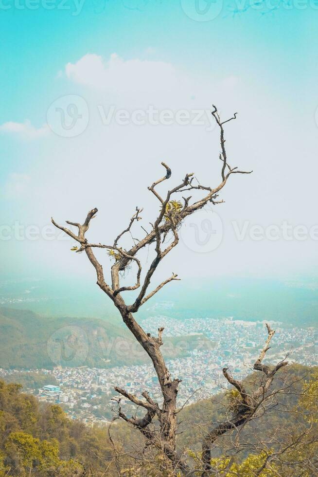 rooftop view nagarkot photo