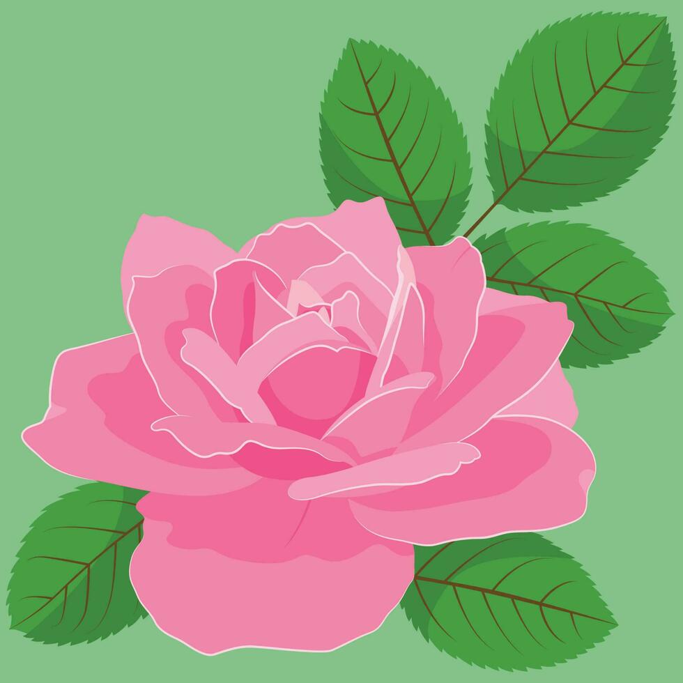 Pink Rose flat illustration vector