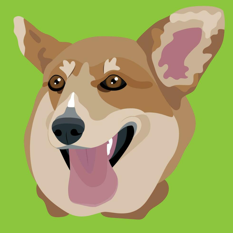 Corgi flat portrait illustration vector