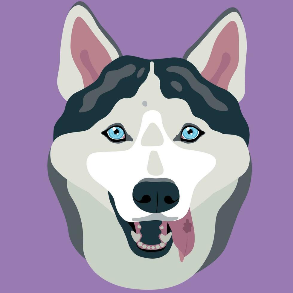 Husky flat portrait illustration vector