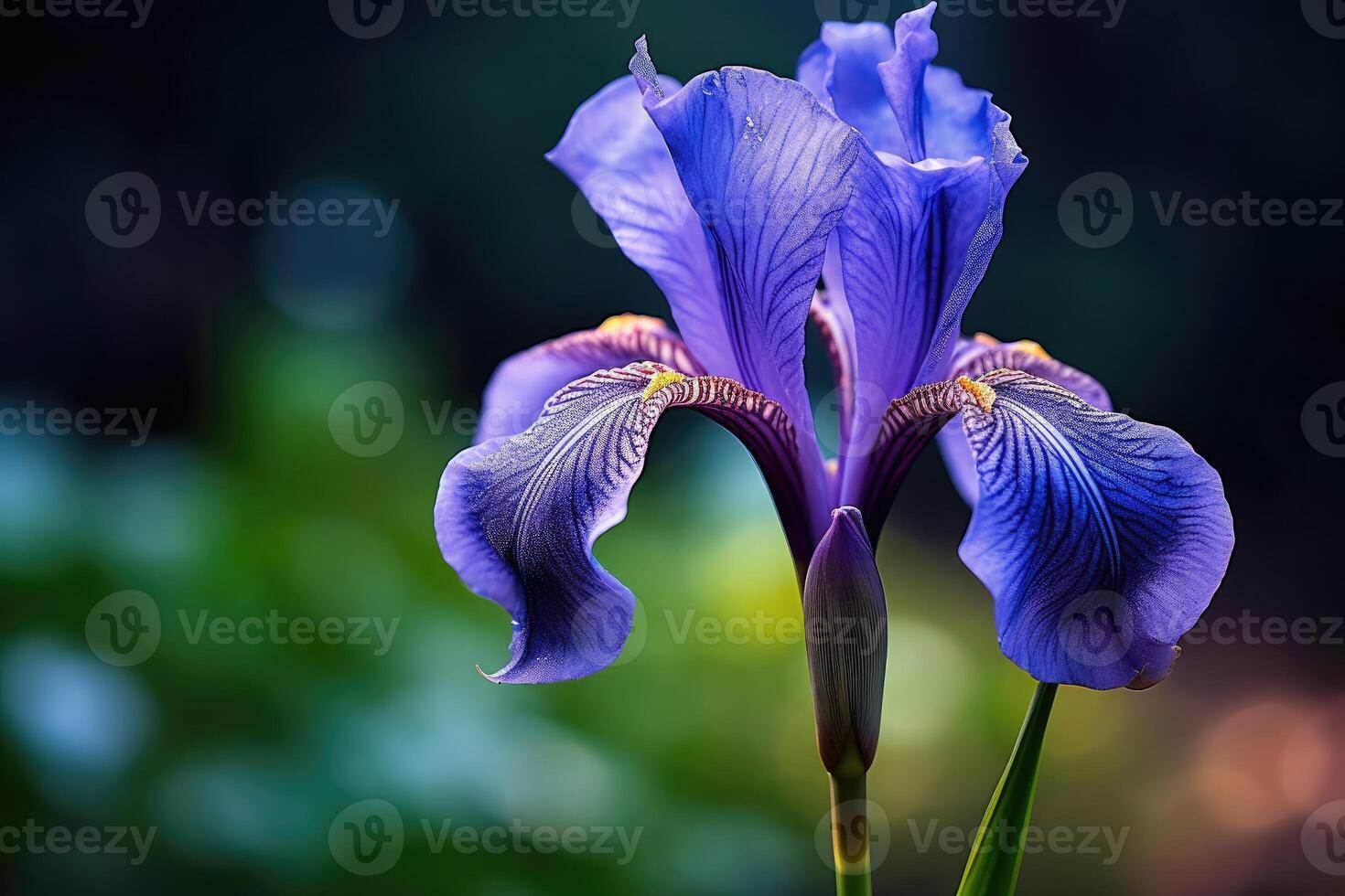 hermosa iris flor con ligero exposición ai generativo foto