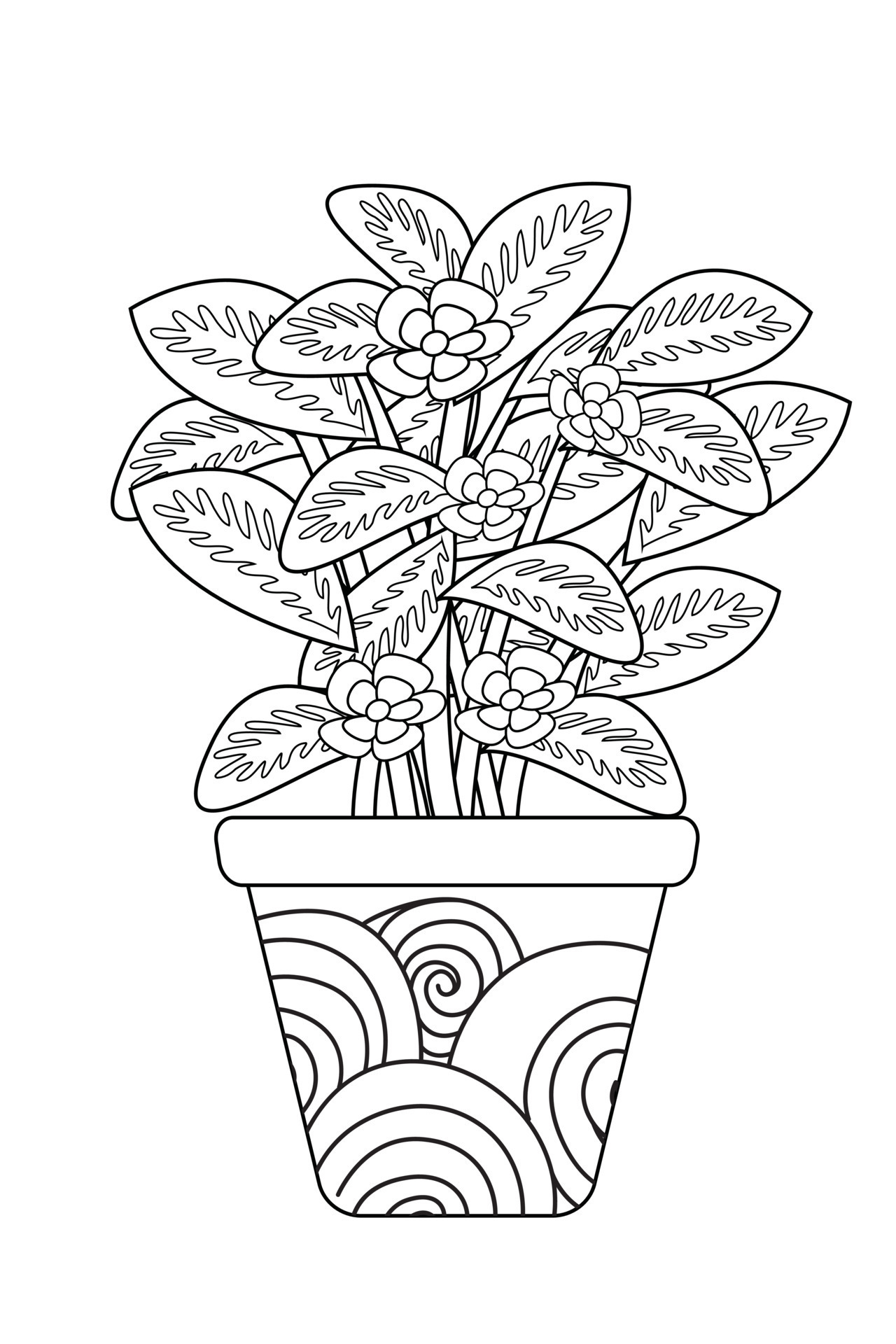 Houseplants indoor plants in decorative - Houseplants Indoor Plants In Decorative Ceramic Brown Pots Line Art Coloring Page Print Vector 