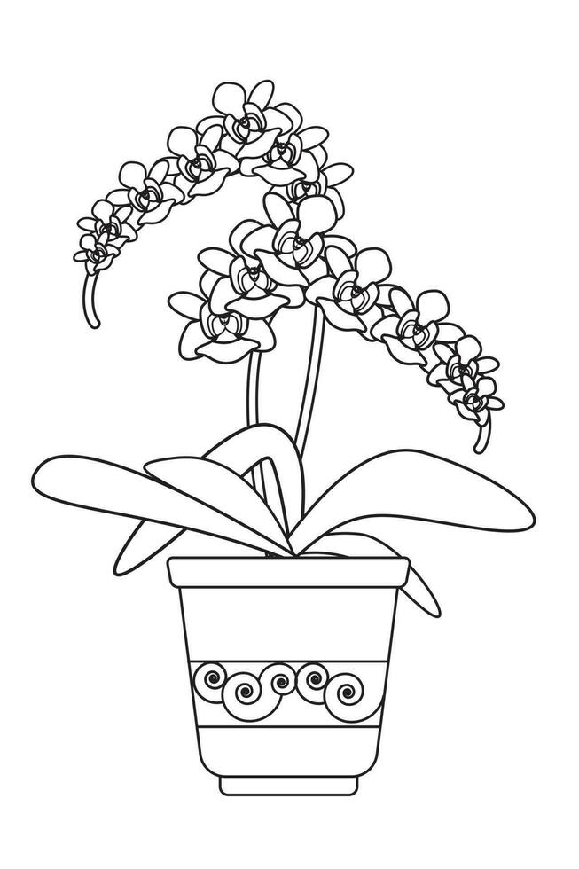 Beautiful orchid decorative indoor plant with plant pot coloring page Print vector