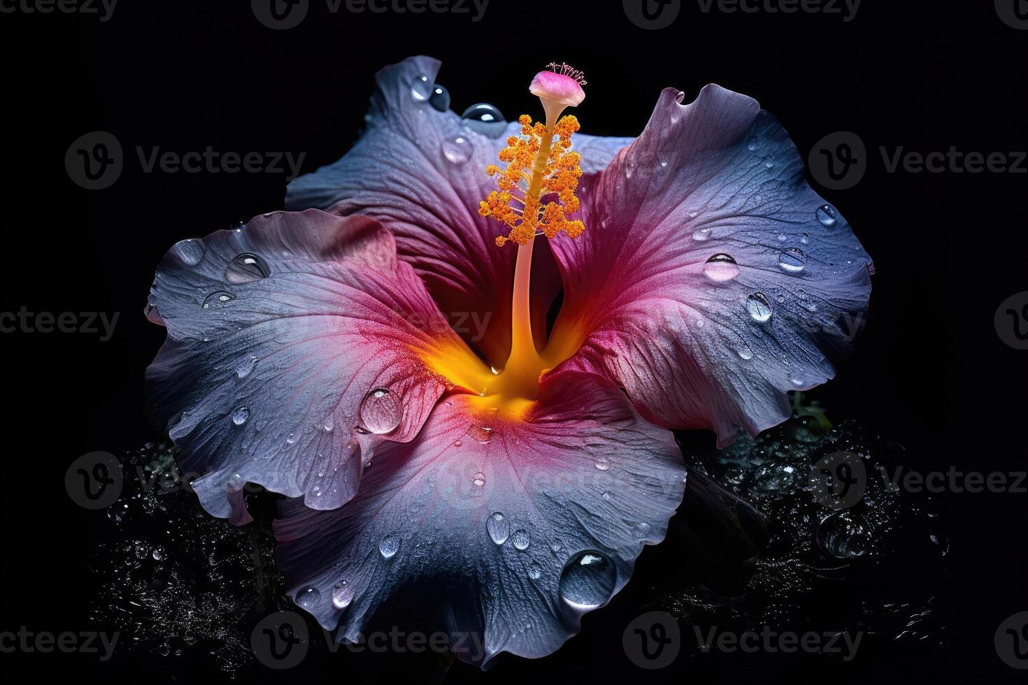 retrato hermosa hibisco flor aislado en negro ai generativo foto