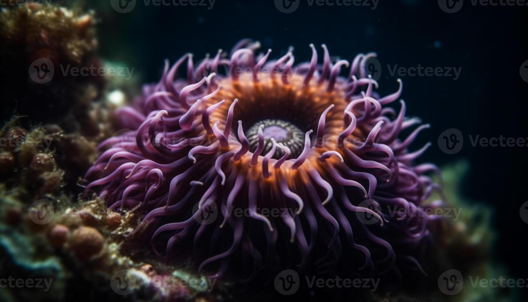 Colorful clown fish swim in vibrant coral reef generated by AI photo