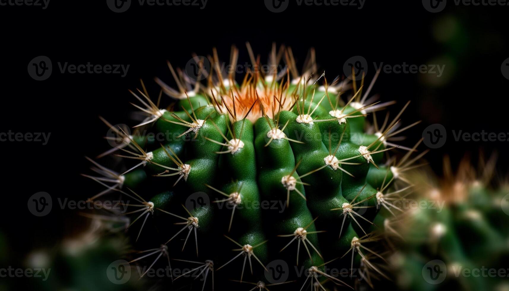 Sharp thorns protect succulent plant fresh growth generated by AI photo