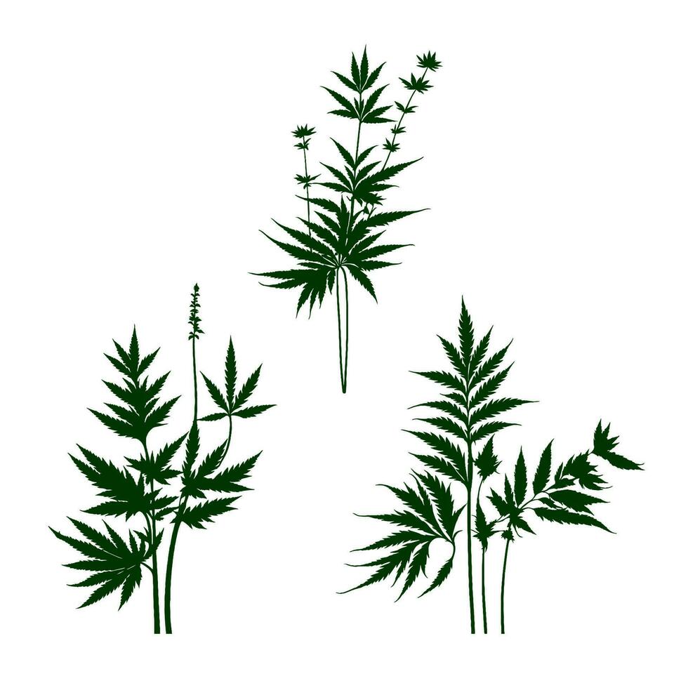 verde hojas de salvaje plantas. planta vectores para decoración