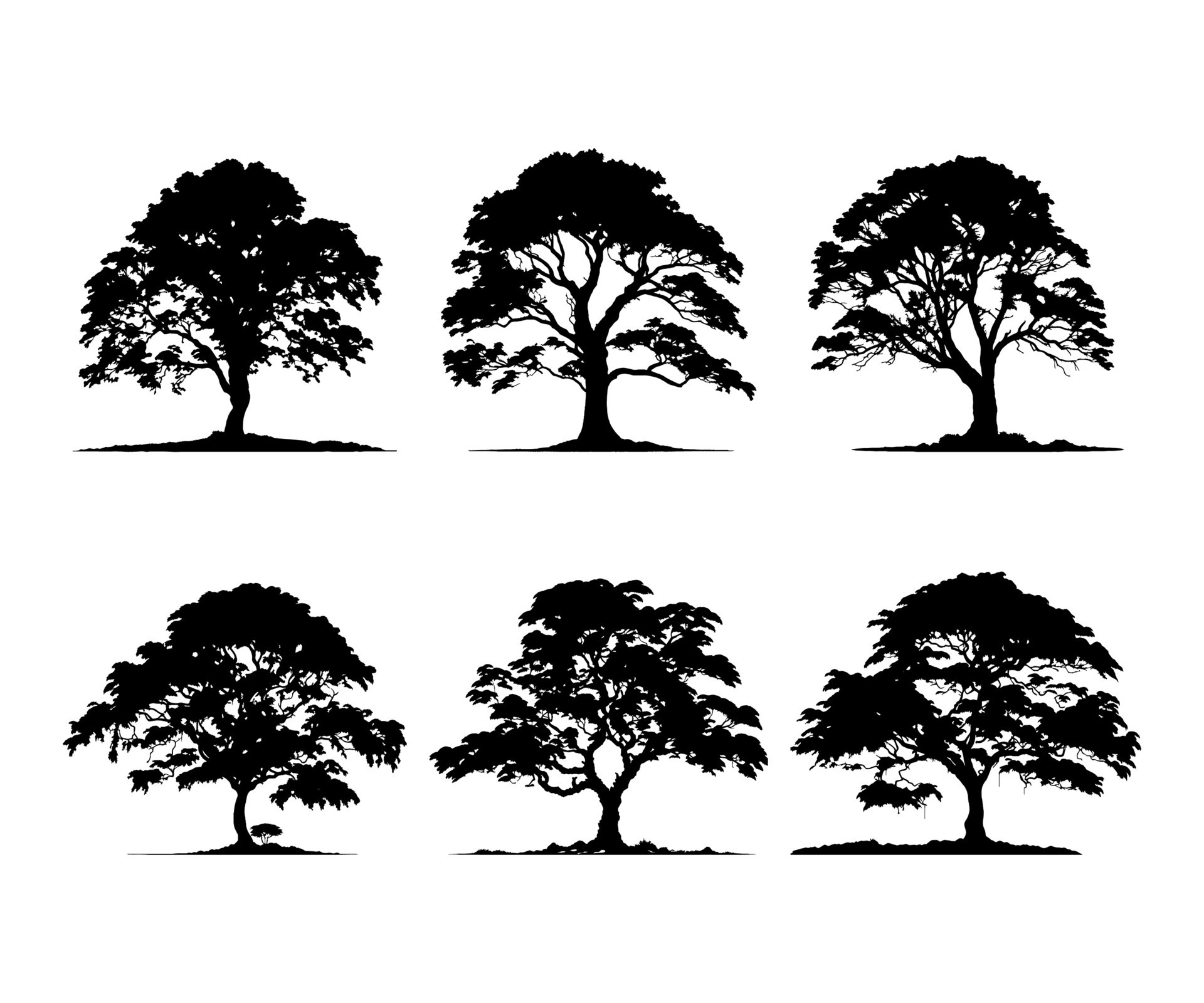 Tropical rainforest tree silhouette. Plant elements to create a design of a group of trees or a