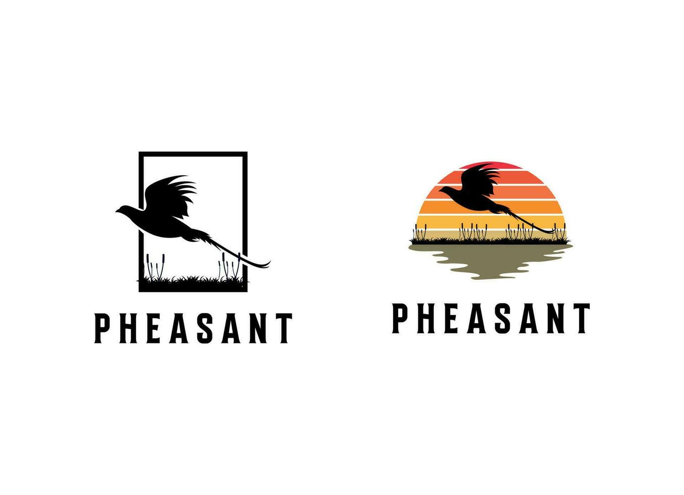 Beauty Flying Pheasant Bird. Pheasant logo design template. Pheasant hunt logo vector