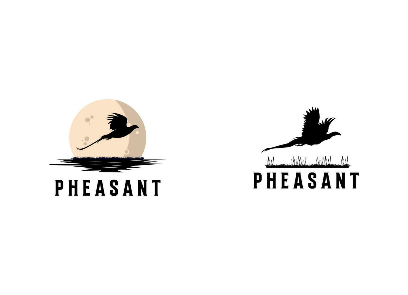 Beauty Flying Pheasant Bird. Pheasant logo design template. Pheasant hunt logo vector