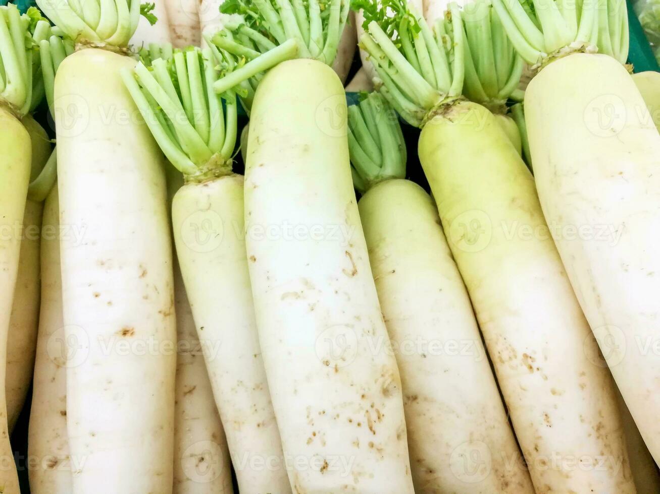 parte superior ver y de cerca montón de japonés blanco rábano en Fresco mercado. foto