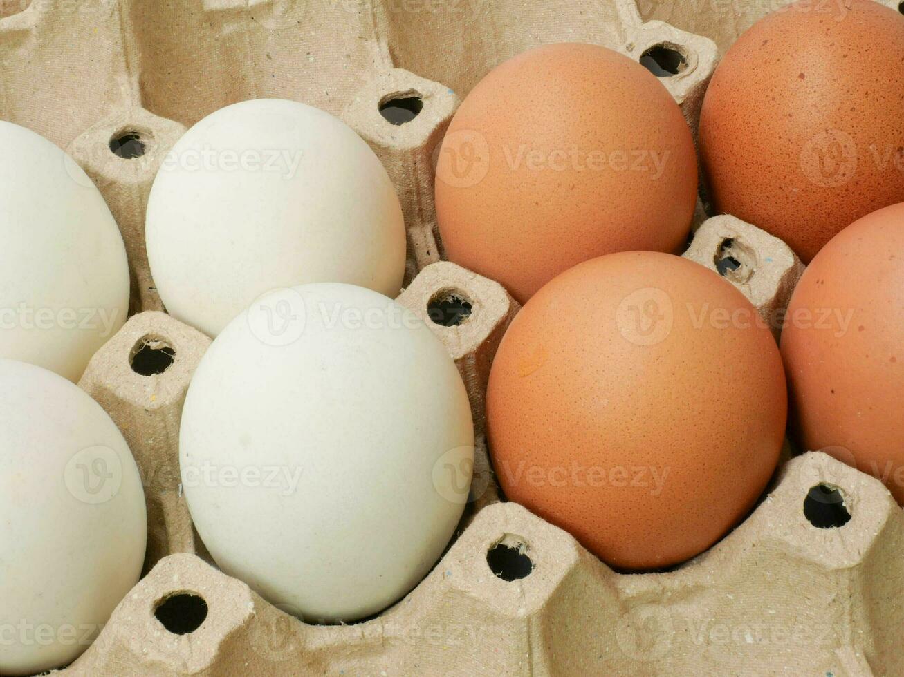 Close-up of duck and chicken eggs in carton photo