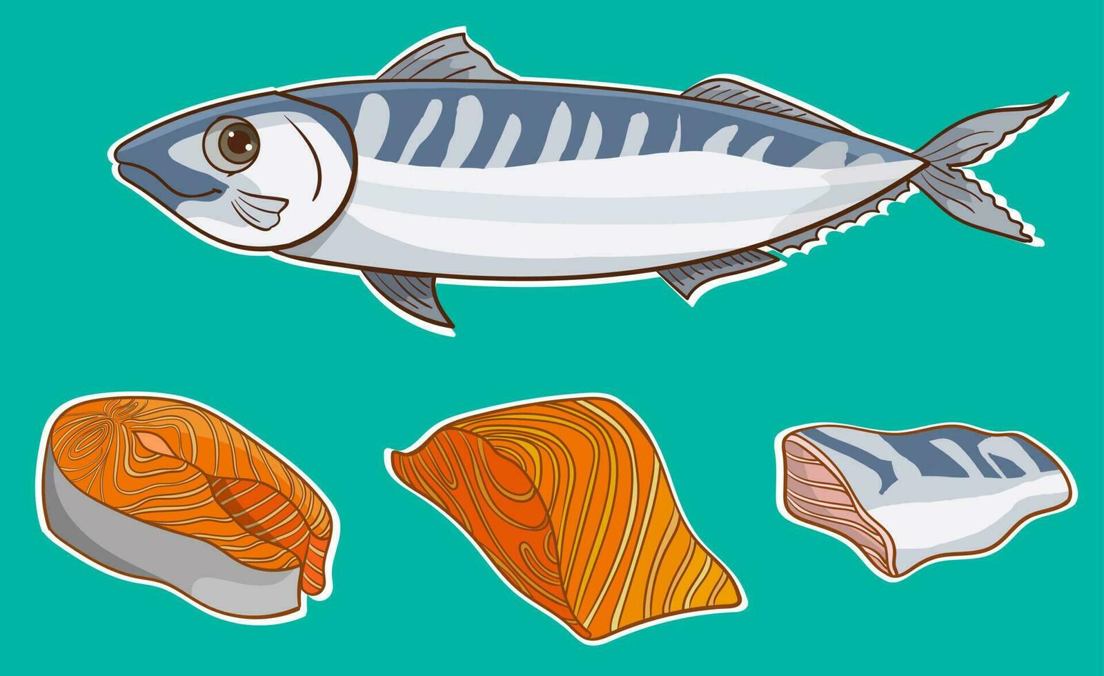 Salmon in different cuts.Red fish isolated on white background. Raw seafood vector illustration. Realistic product of healthy nutrition