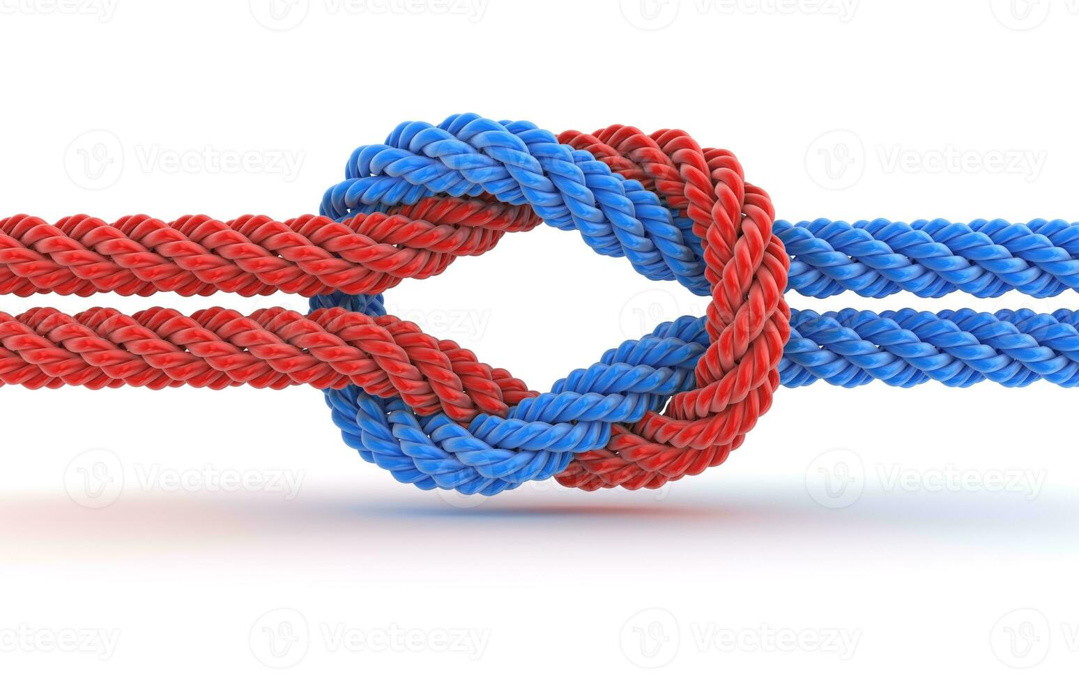 Knot 3d Render photo