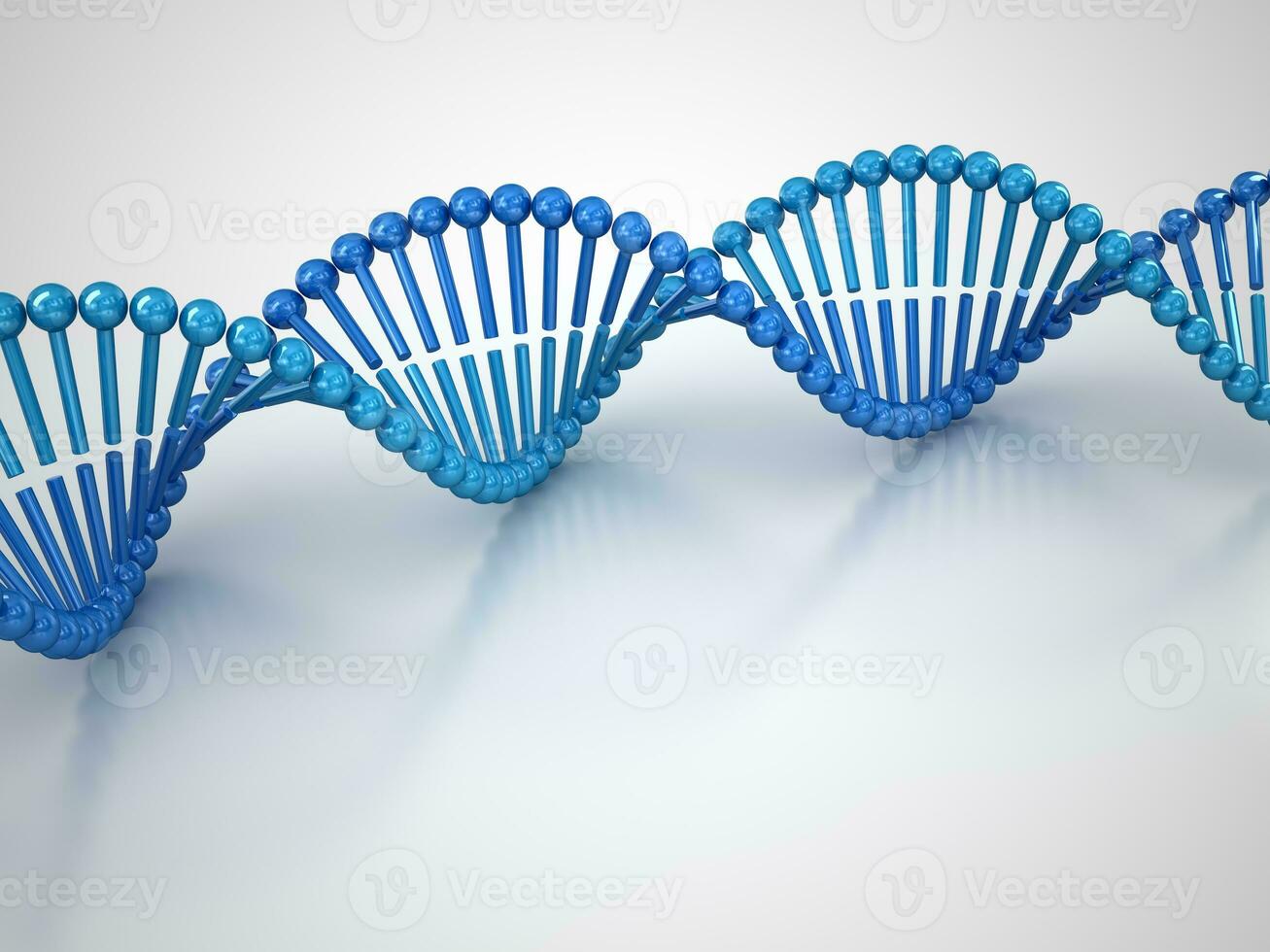 DNA Molecular Structure photo