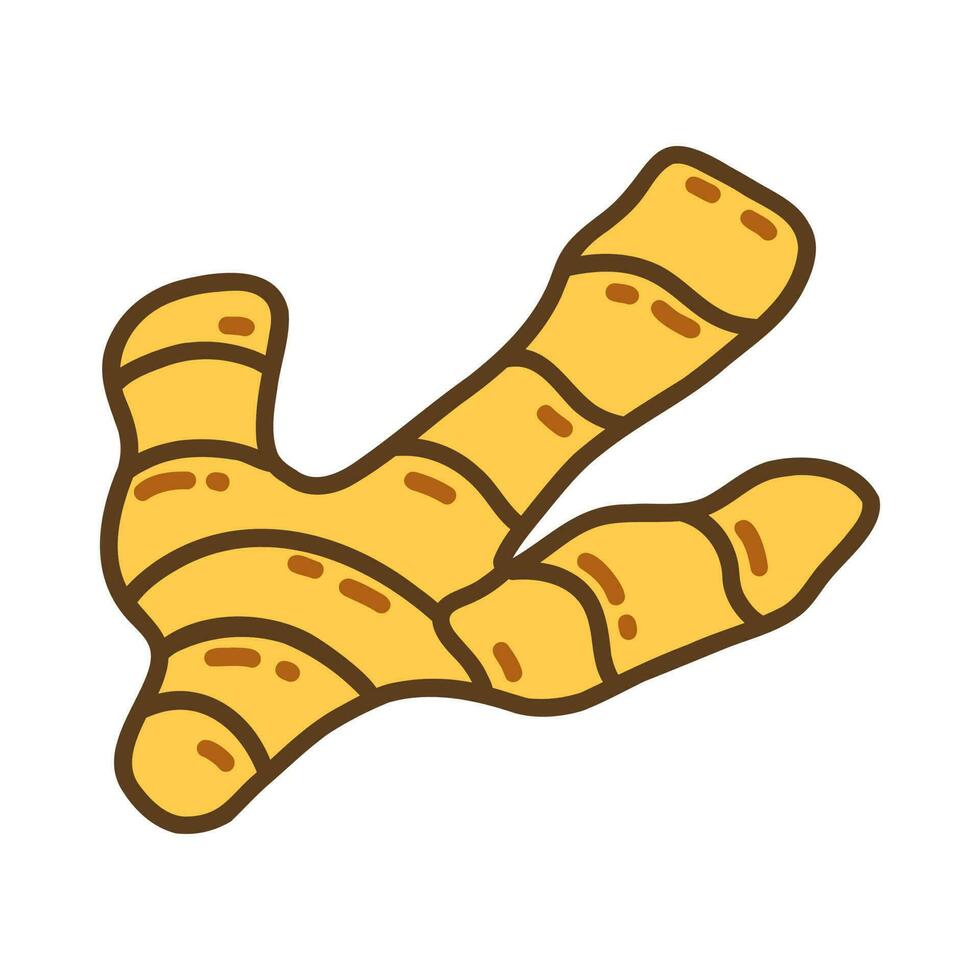 Ginger root spice. Hand drawn vector doodle