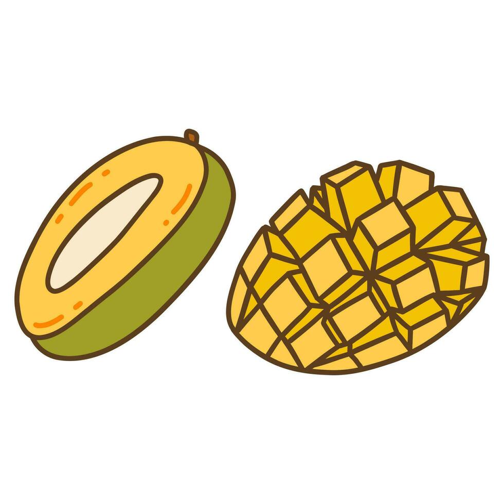 Mango cut in half. Vector hand drawn doodle